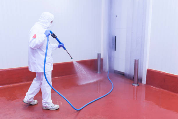 Professional Pressure Washing Services in Port Allegany, PA