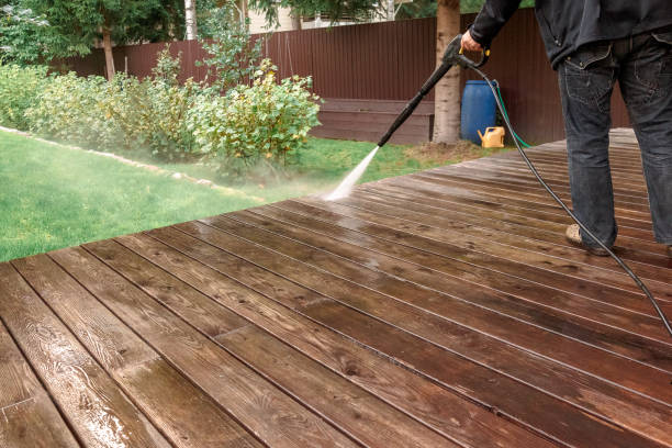 Best Fence Cleaning  in Port Allegany, PA